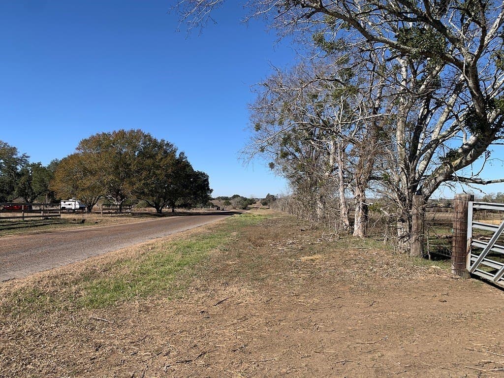 64 acres in Colorado County - photo 9