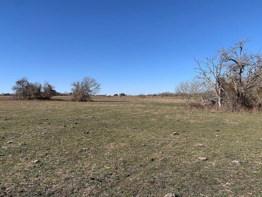 64 acres in Colorado County - photo 10