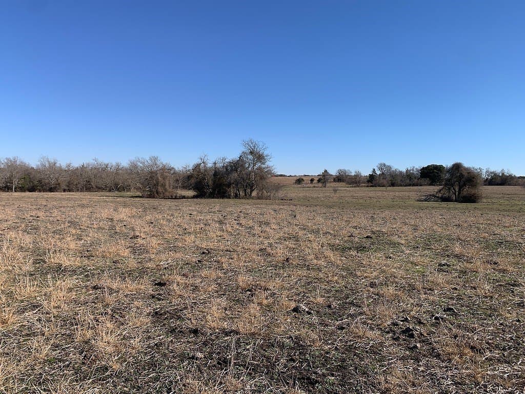 64 acres in Colorado County - photo 6