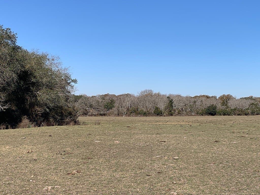 64 acres in Colorado County