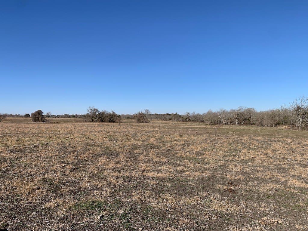 64 acres in Colorado County - photo 15