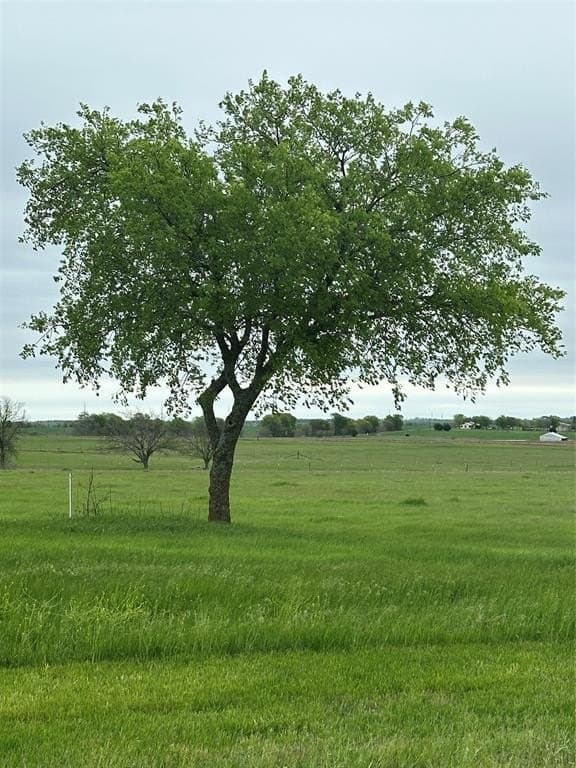 2 acres in Cooke County gallery image 3