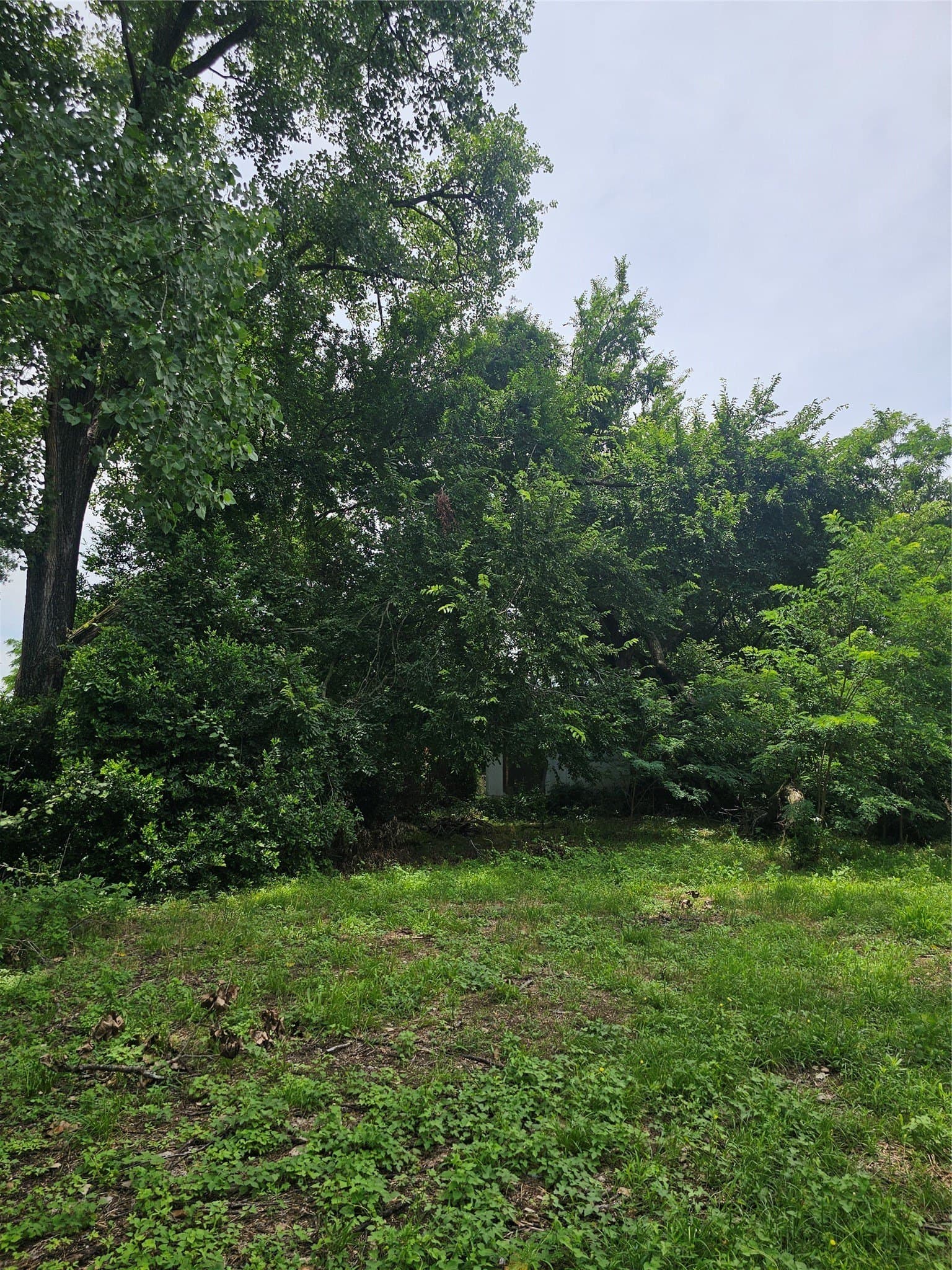 0.16 acres in Freestone County - photo 30