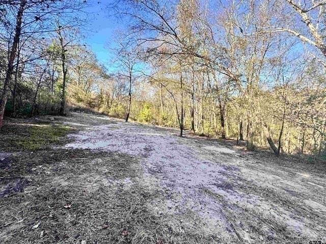 2.68 acres in Henderson County gallery image 4