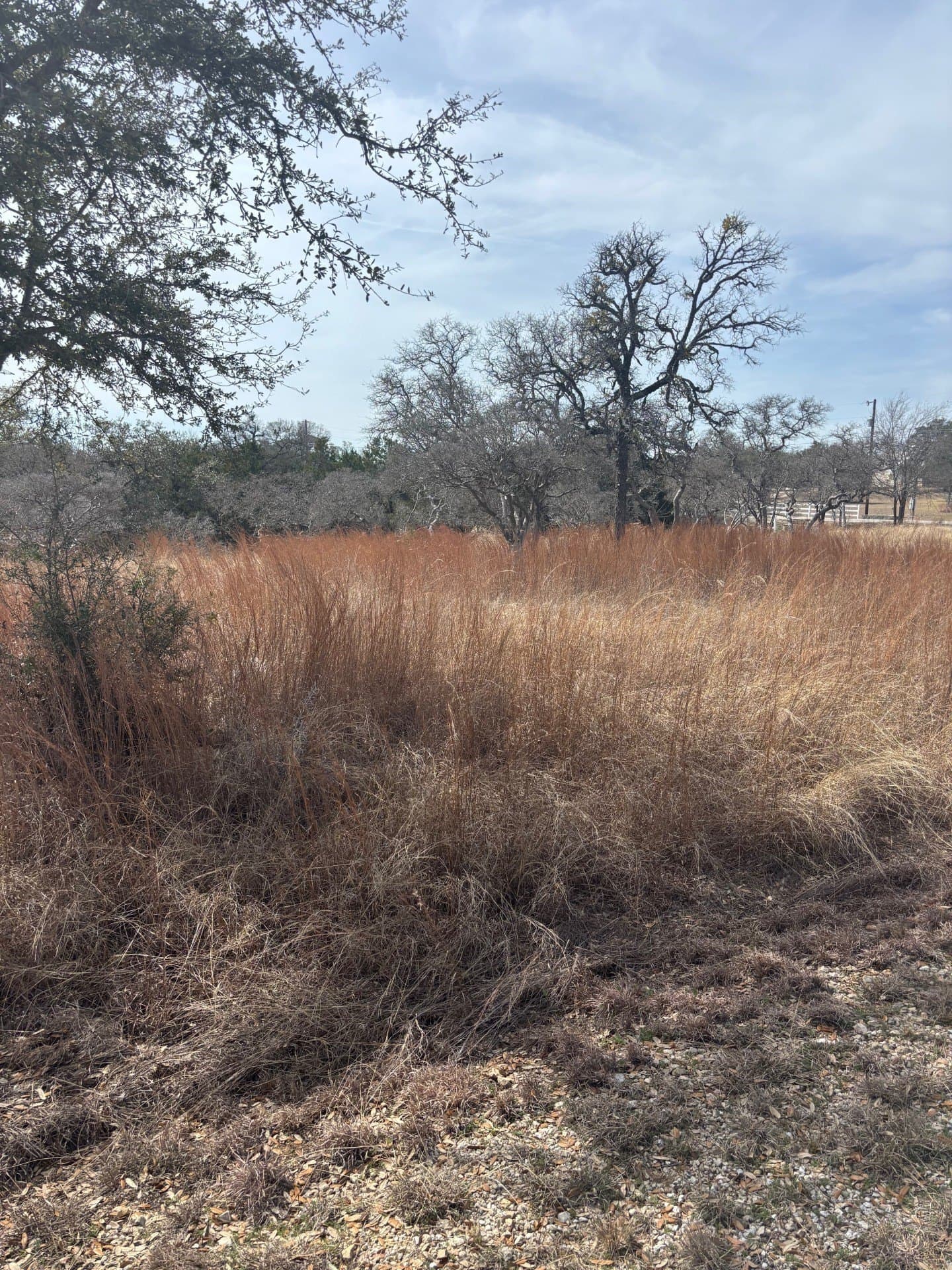 7.26 acres in Bell County - photo 5