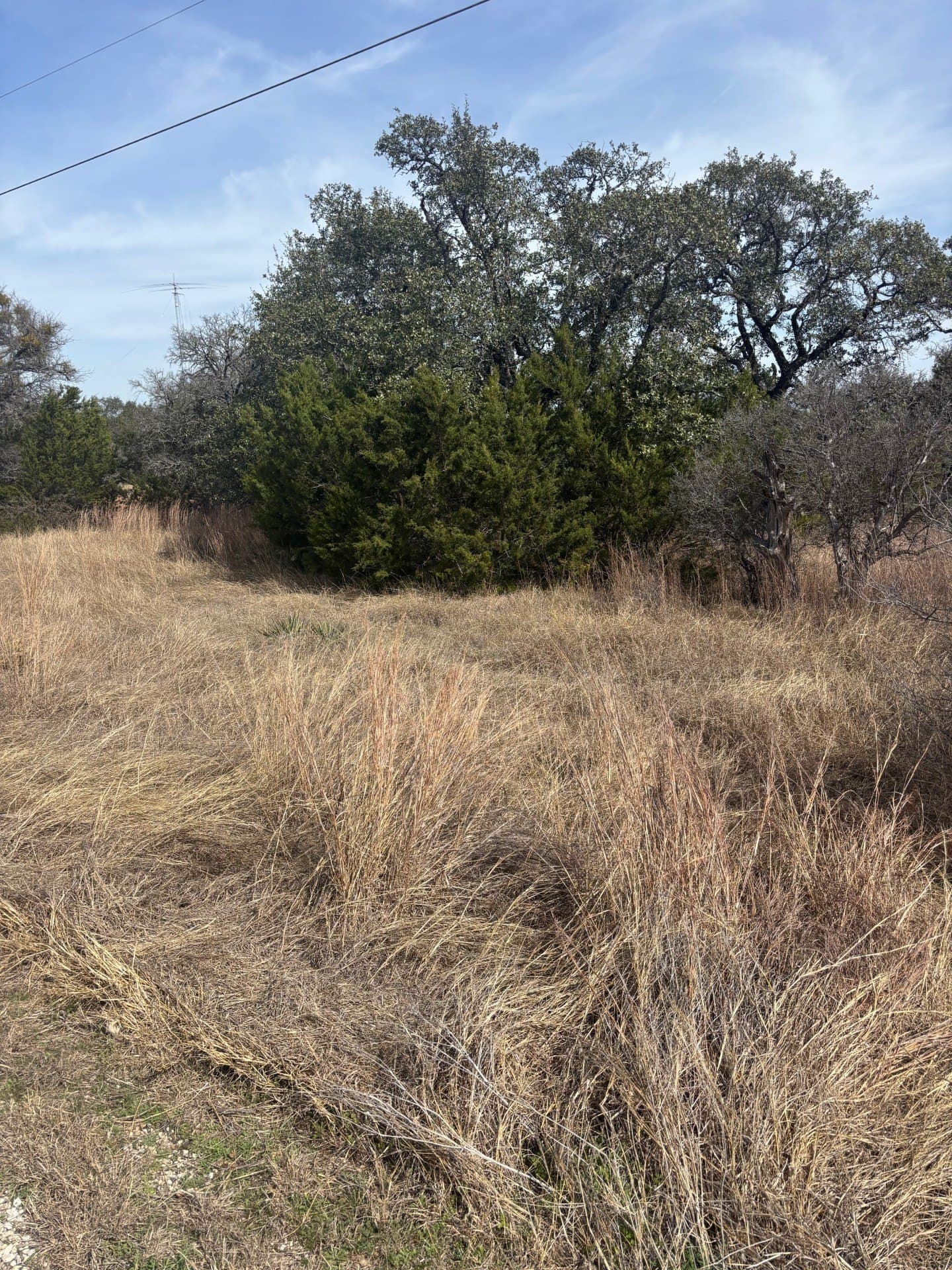 7.26 acres in Bell County - photo 4