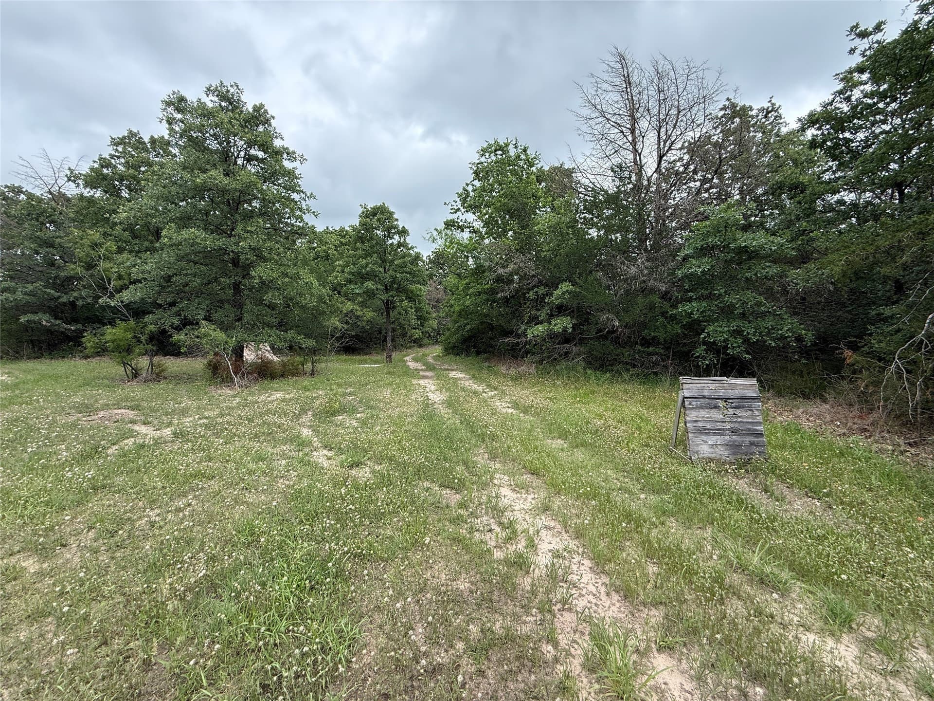 125.43 acres in Navarro County - photo 24