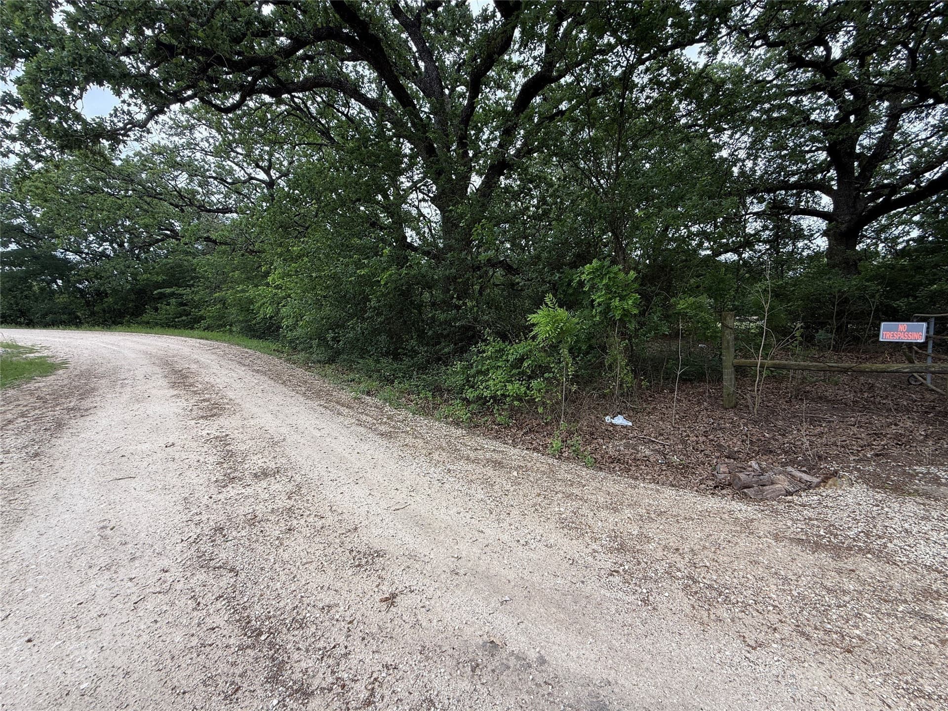125.75 acres in Navarro County gallery image 3
