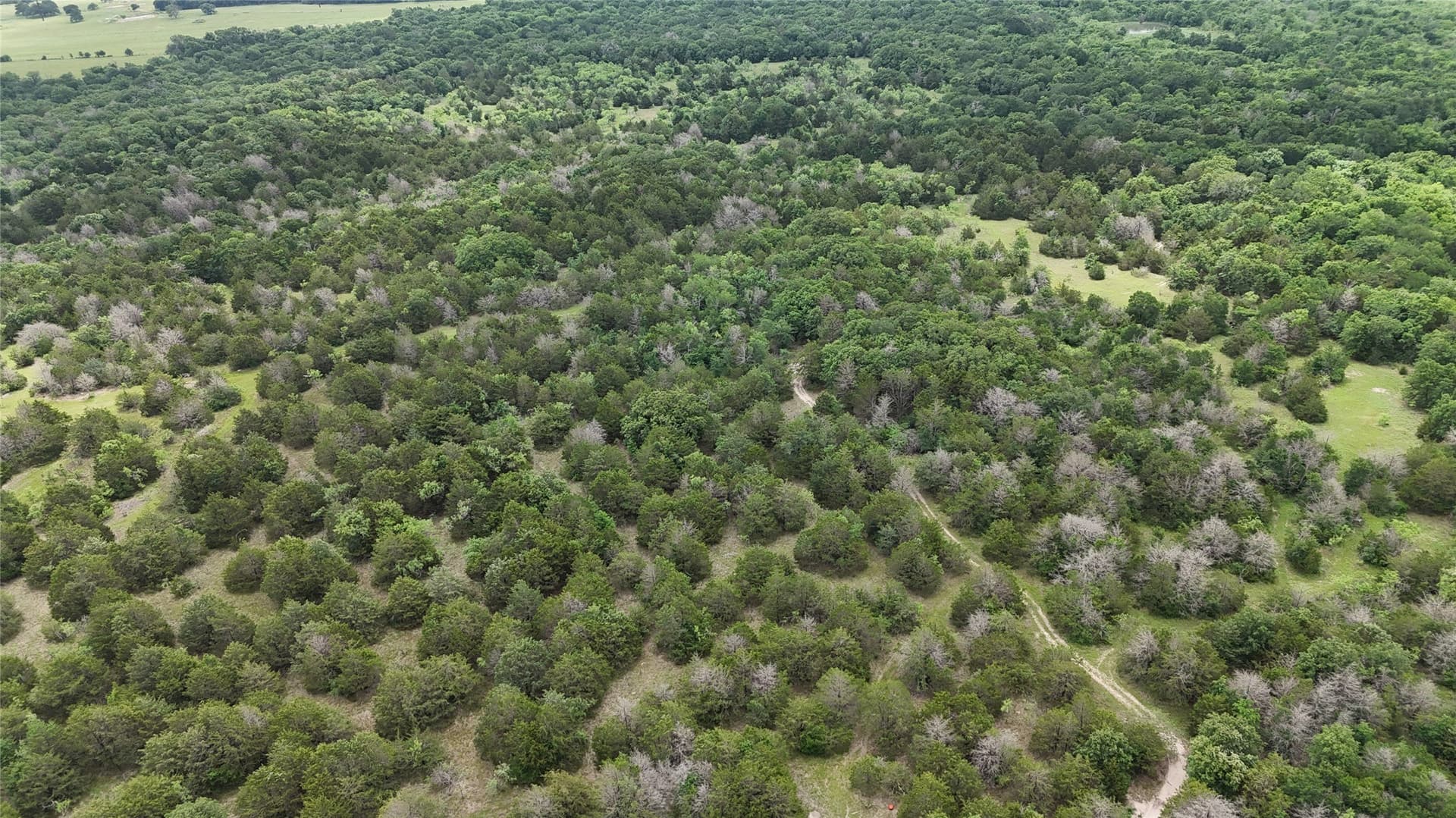 125.43 acres in Navarro County - photo 39