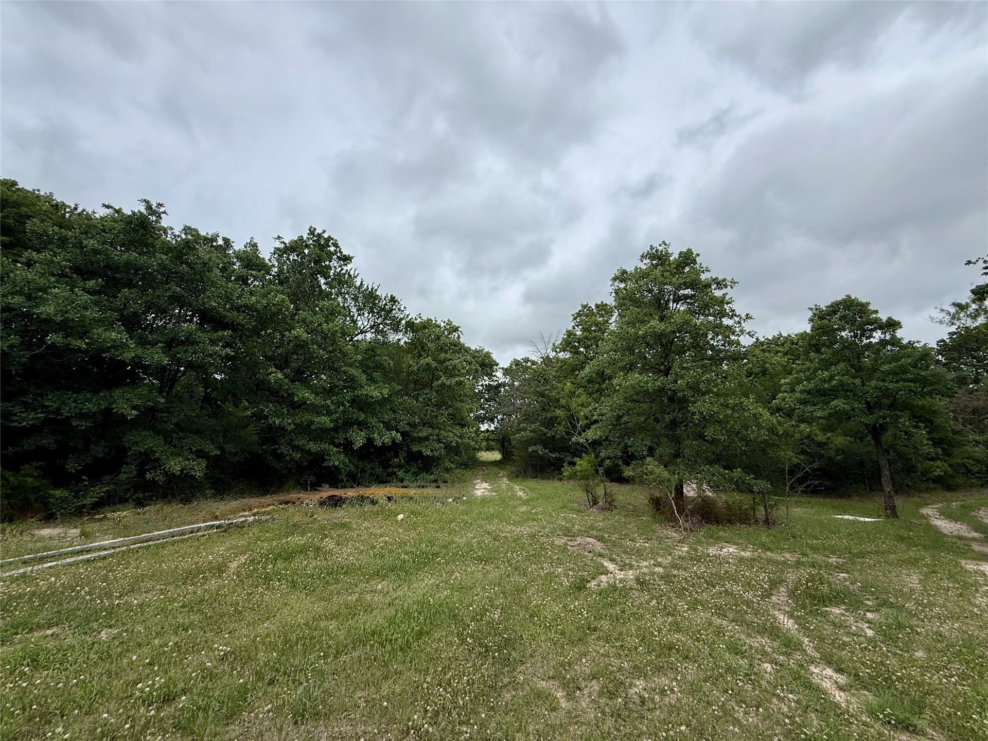 125.43 acres in Navarro County - photo 23