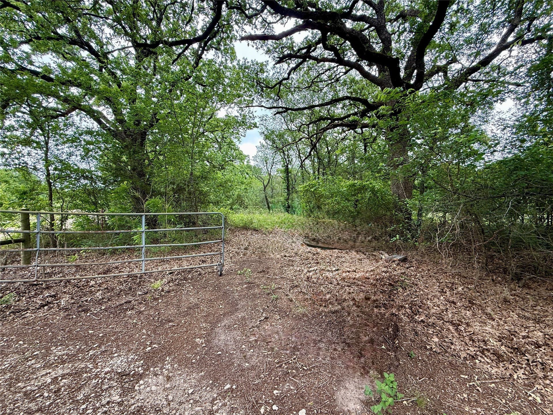 125.43 acres in Navarro County - photo 7