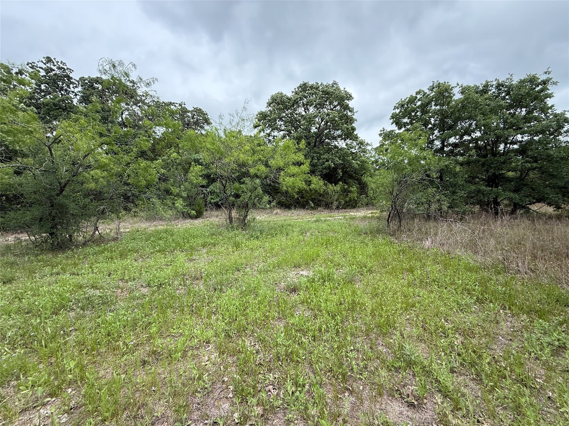 125.43 acres in Navarro County - photo 30