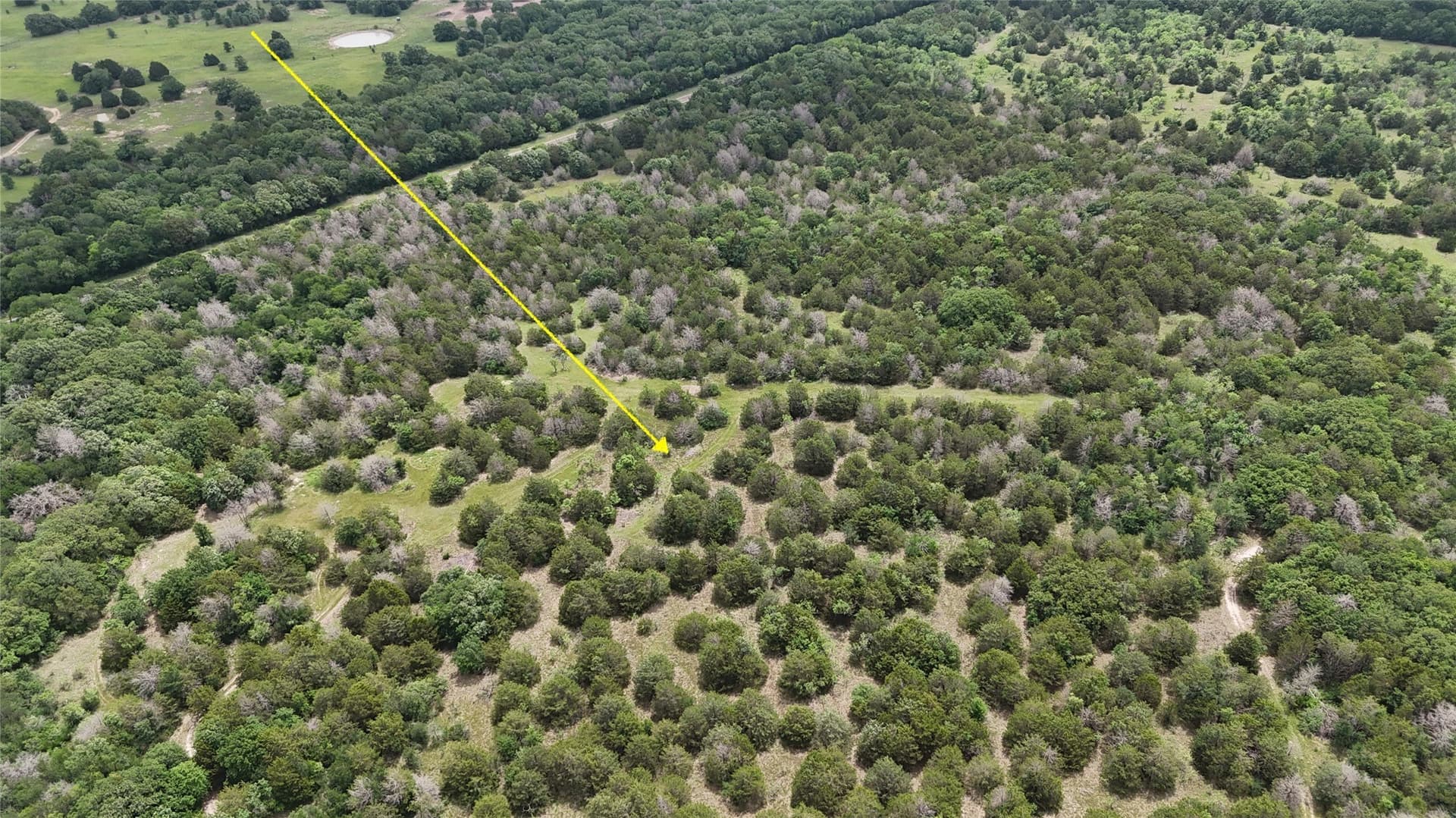 125.43 acres in Navarro County - photo 11