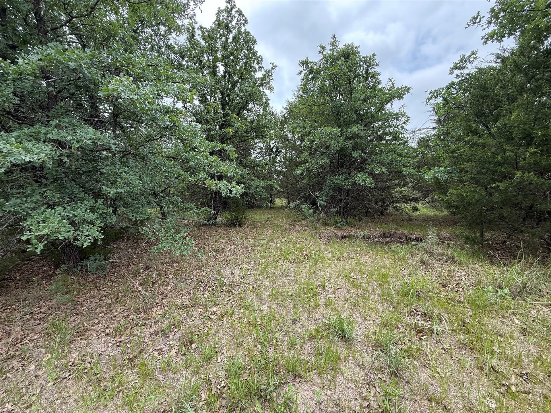 125.43 acres in Navarro County - photo 29