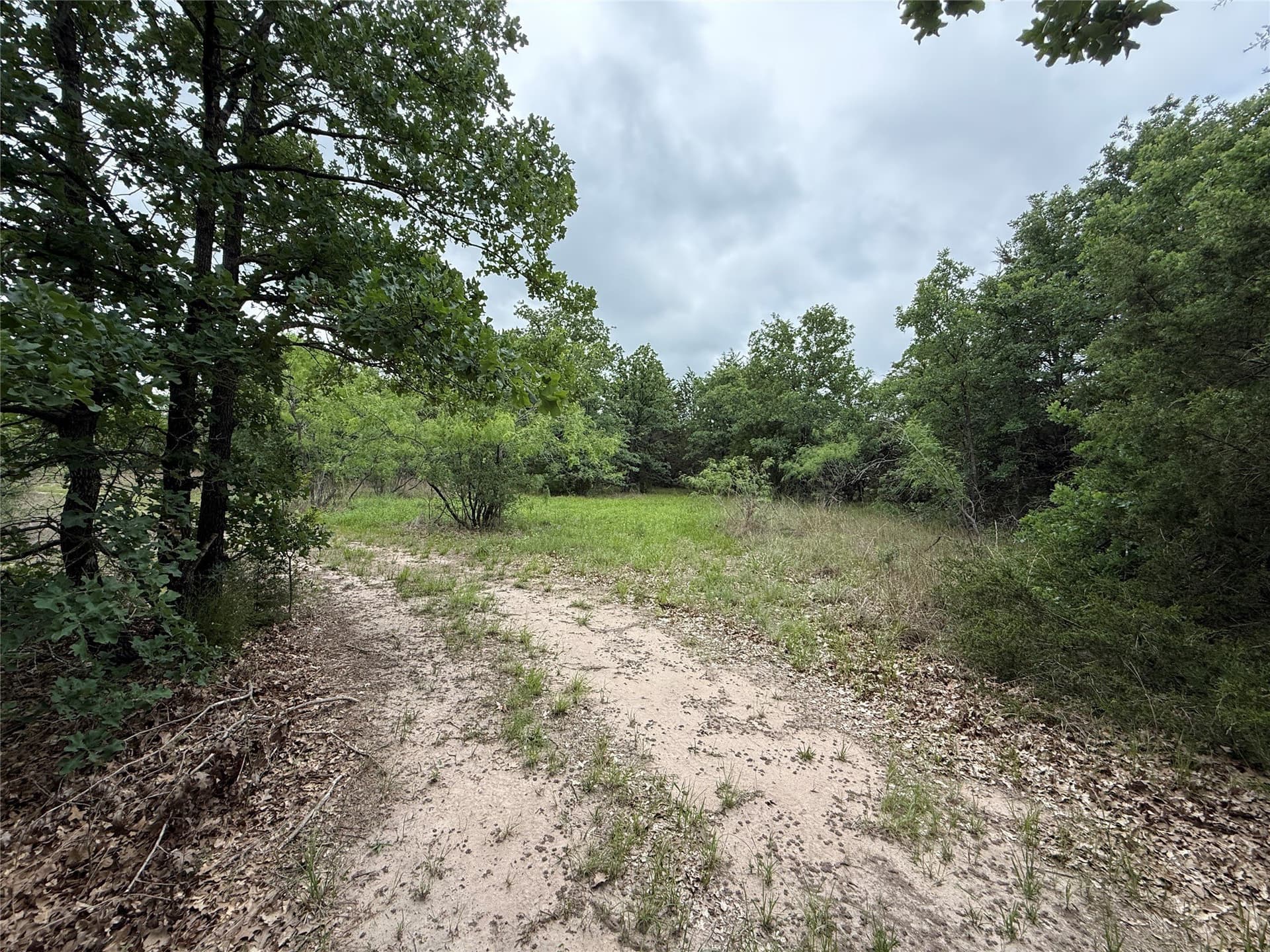 125.43 acres in Navarro County - photo 28