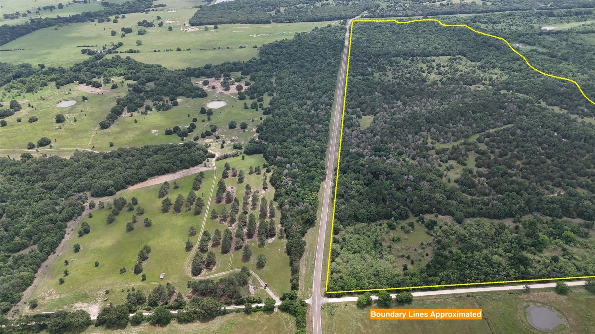 125.43 acres in Navarro County - photo 16