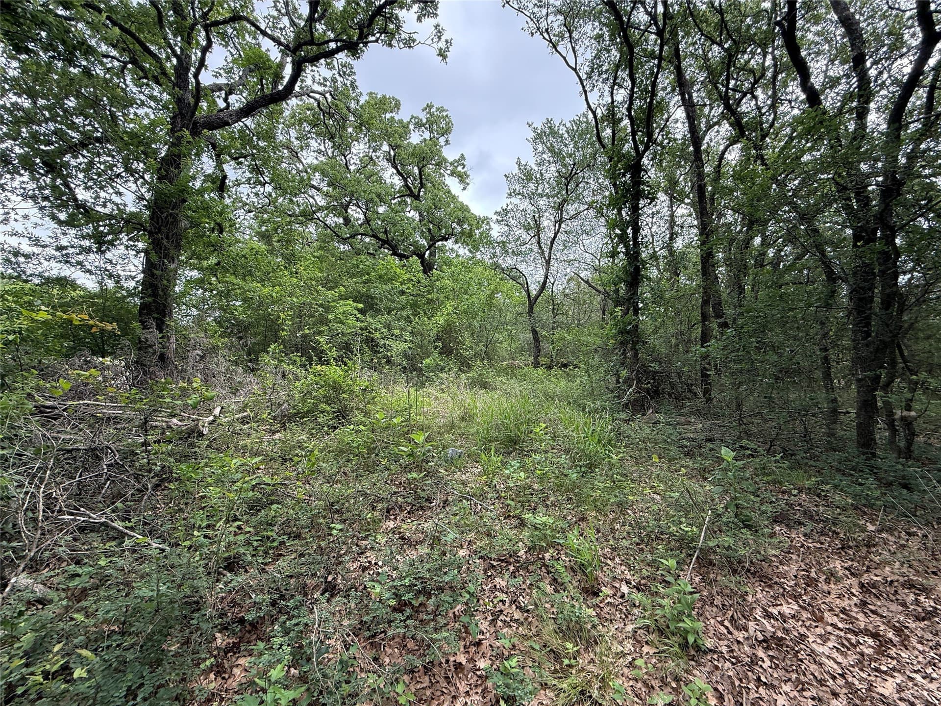 125.43 acres in Navarro County - photo 9