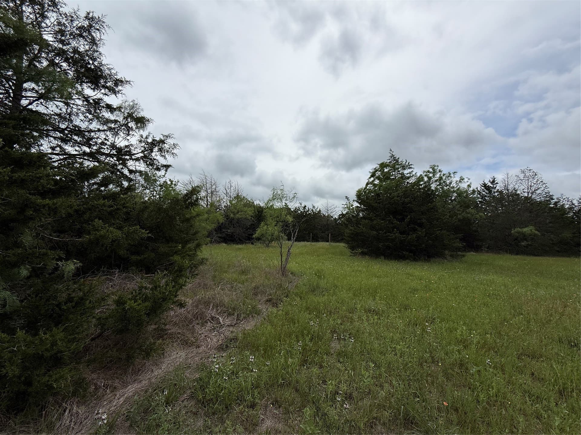 125.43 acres in Navarro County - photo 35