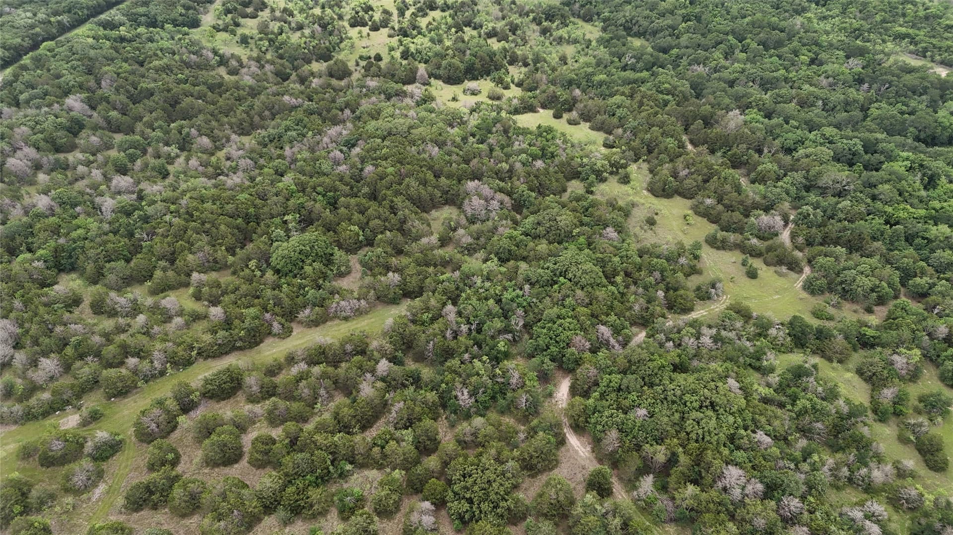 125.43 acres in Navarro County - photo 37