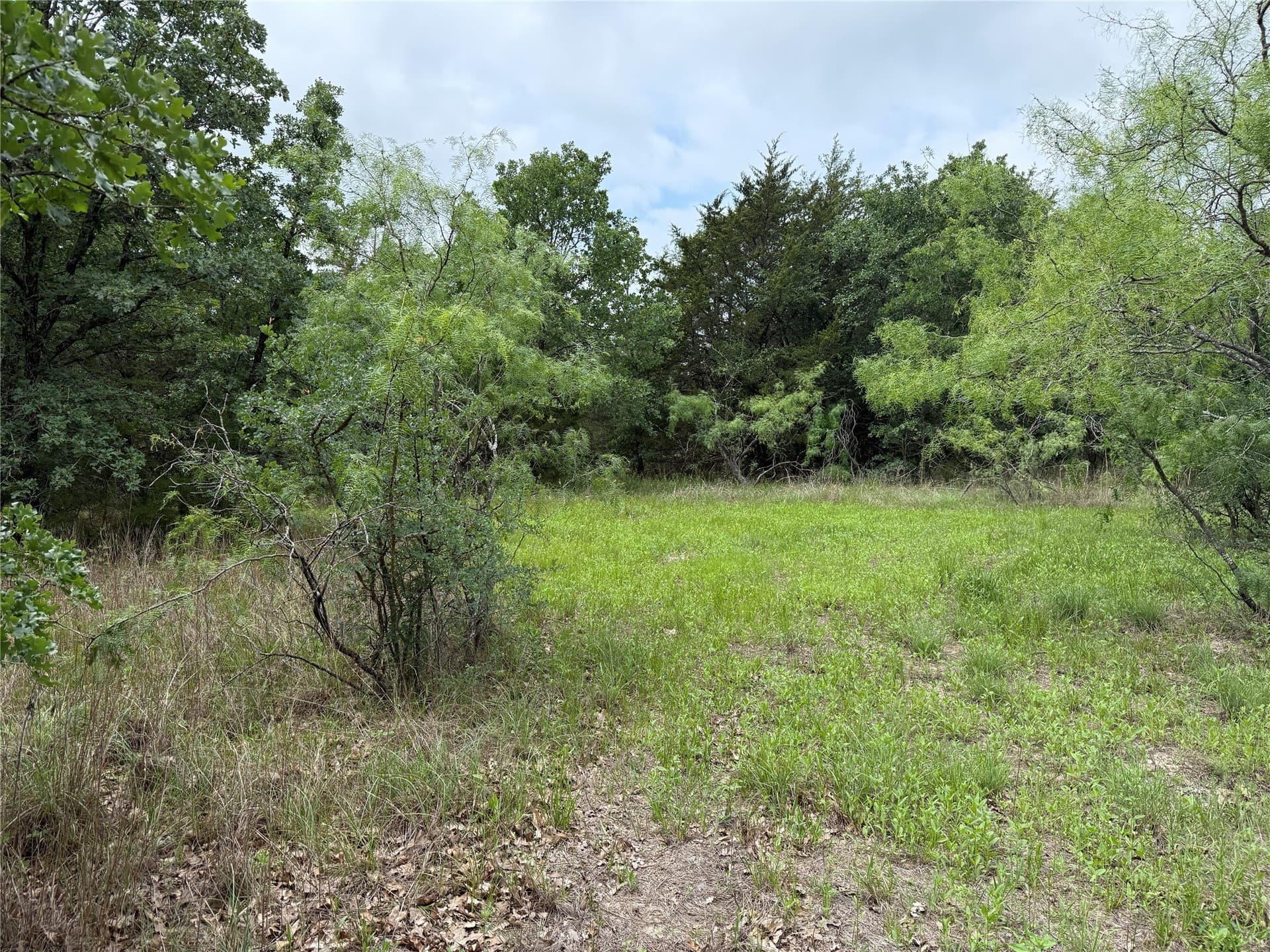 125.43 acres in Navarro County - photo 17