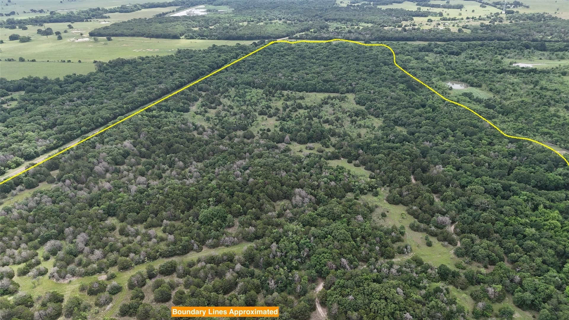 125.43 acres in Navarro County - photo 21
