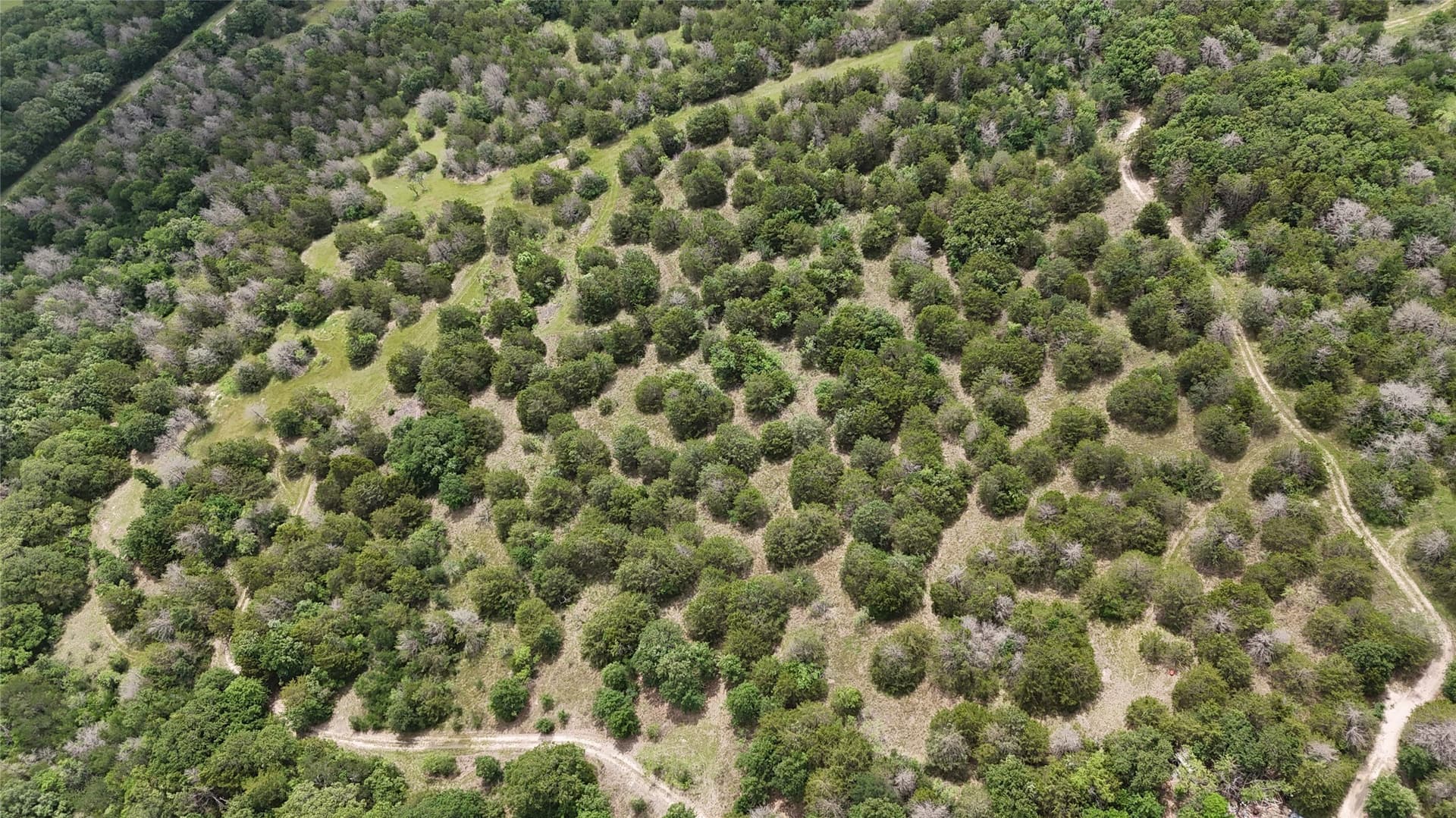 125.43 acres in Navarro County - photo 40