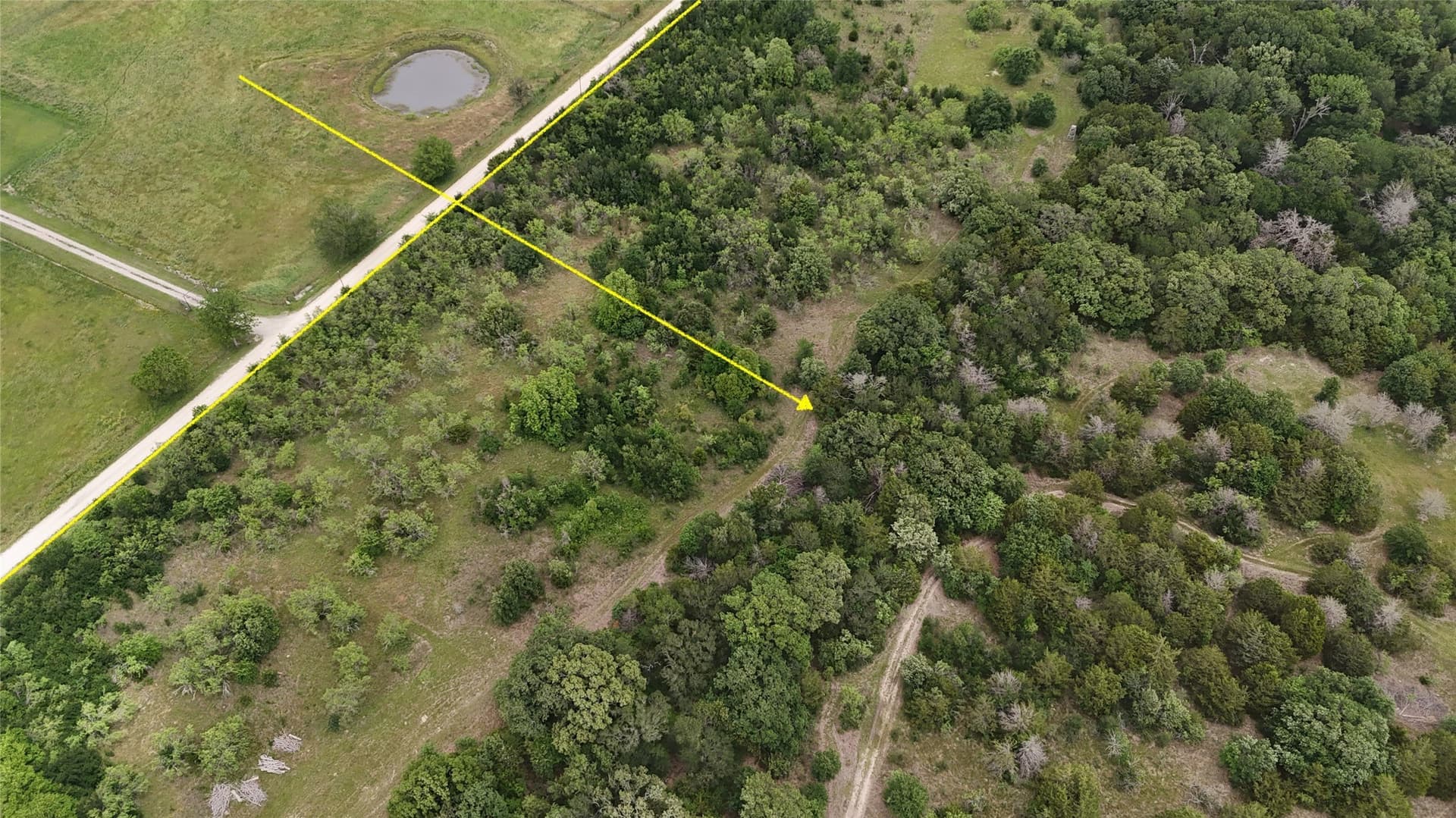 125.43 acres in Navarro County - photo 6