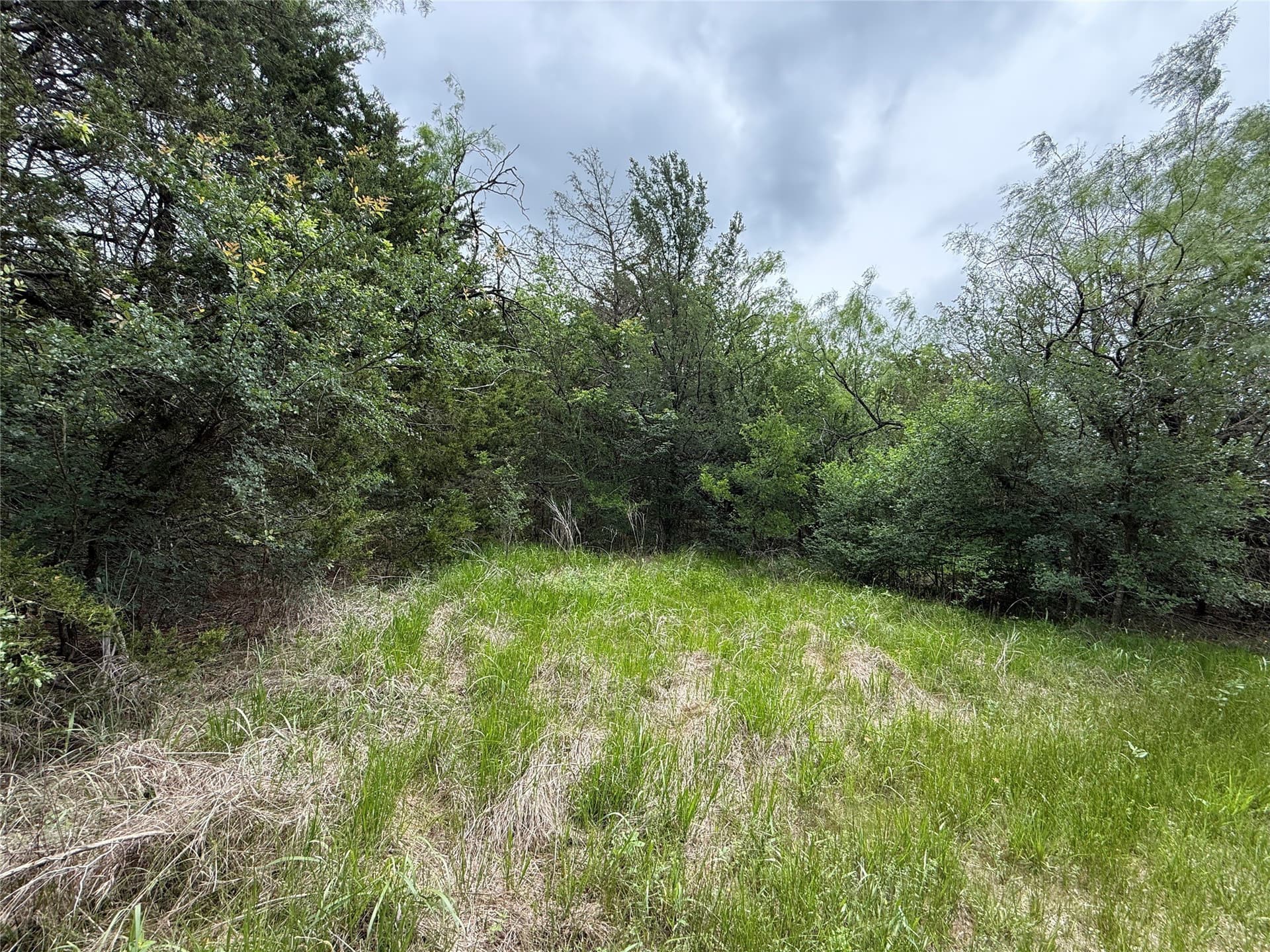 125.43 acres in Navarro County - photo 33