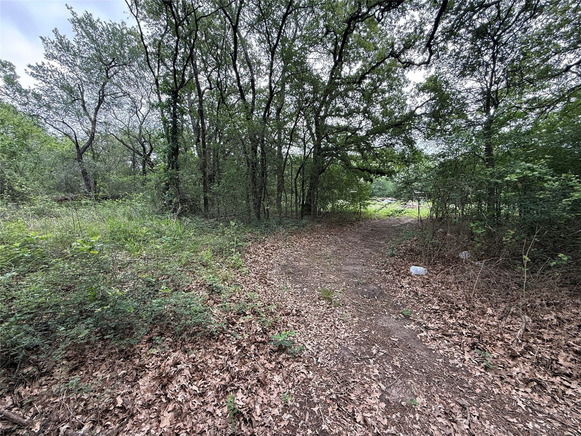 125.43 acres in Navarro County - photo 8