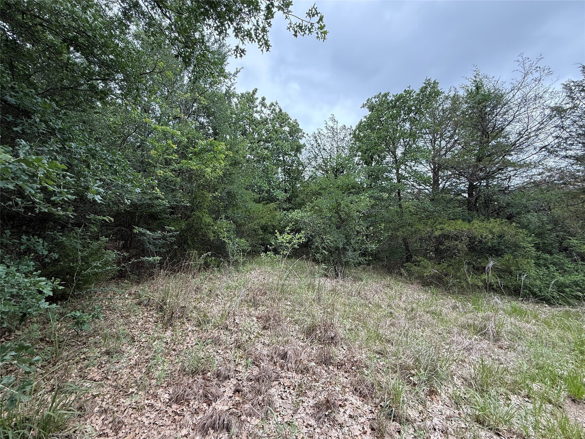 125.43 acres in Navarro County - photo 32