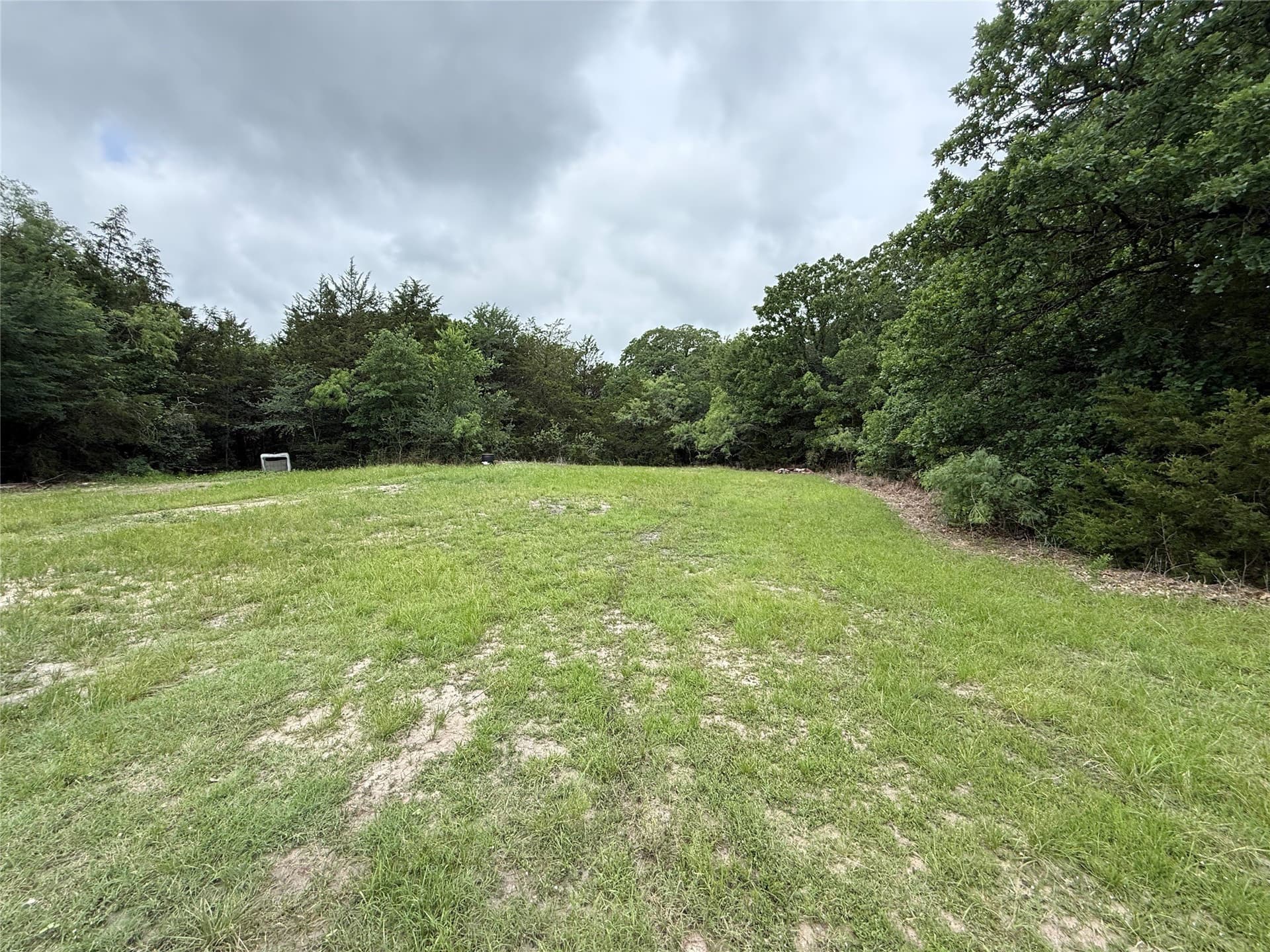 125.43 acres in Navarro County - photo 14