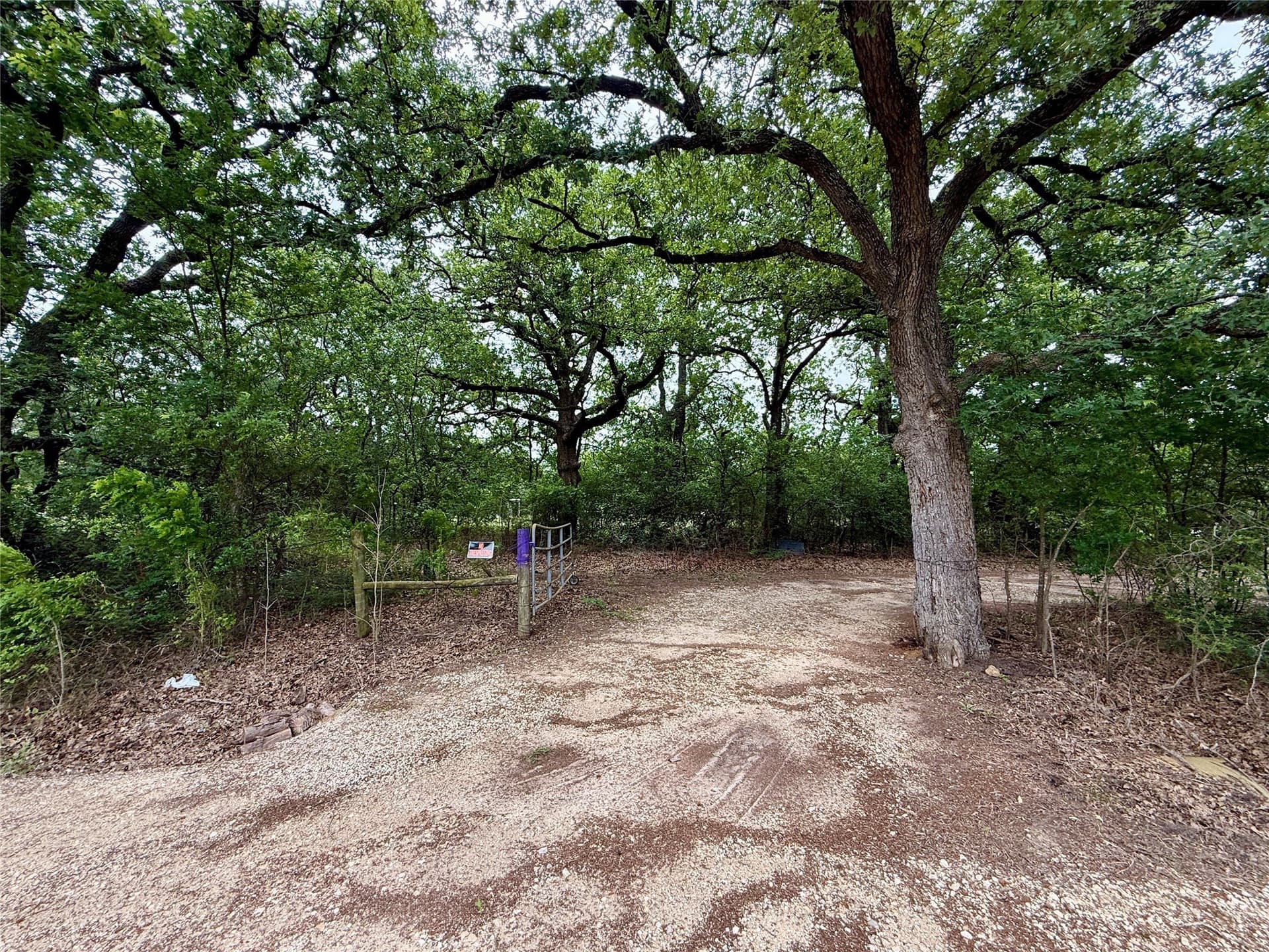 125.75 acres in Navarro County gallery image 2