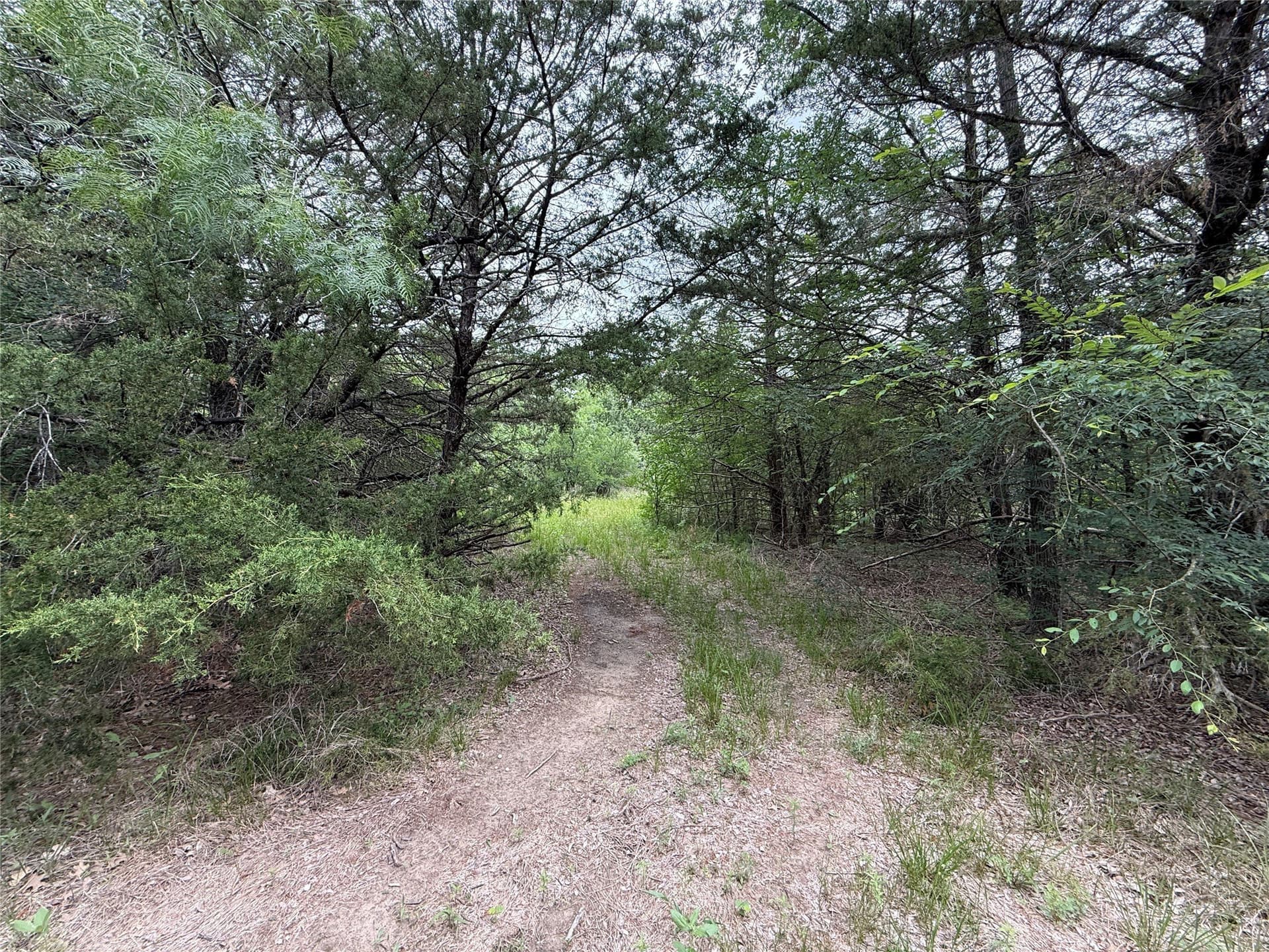 125.43 acres in Navarro County - photo 20