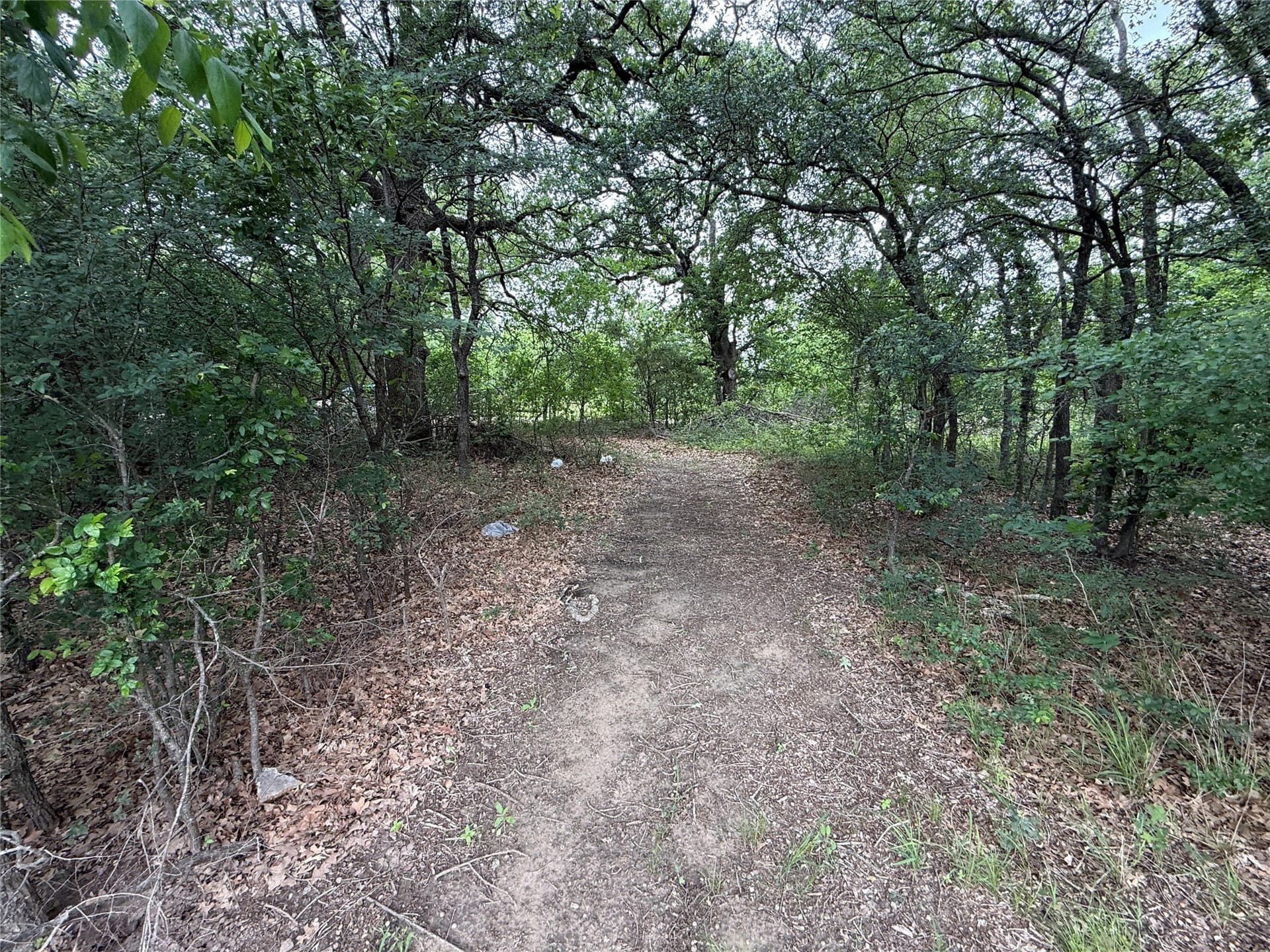125.43 acres in Navarro County - photo 22