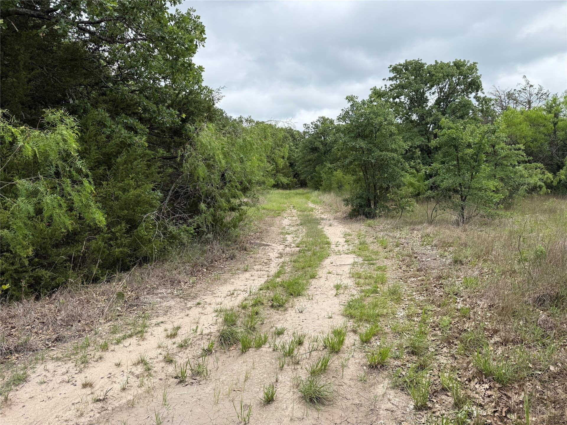 125.43 acres in Navarro County - photo 18