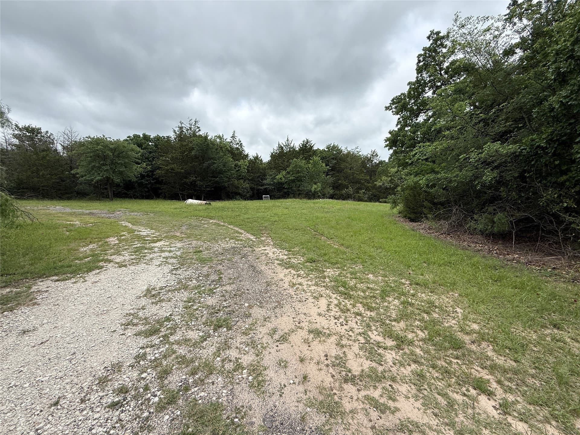 125.43 acres in Navarro County - photo 13