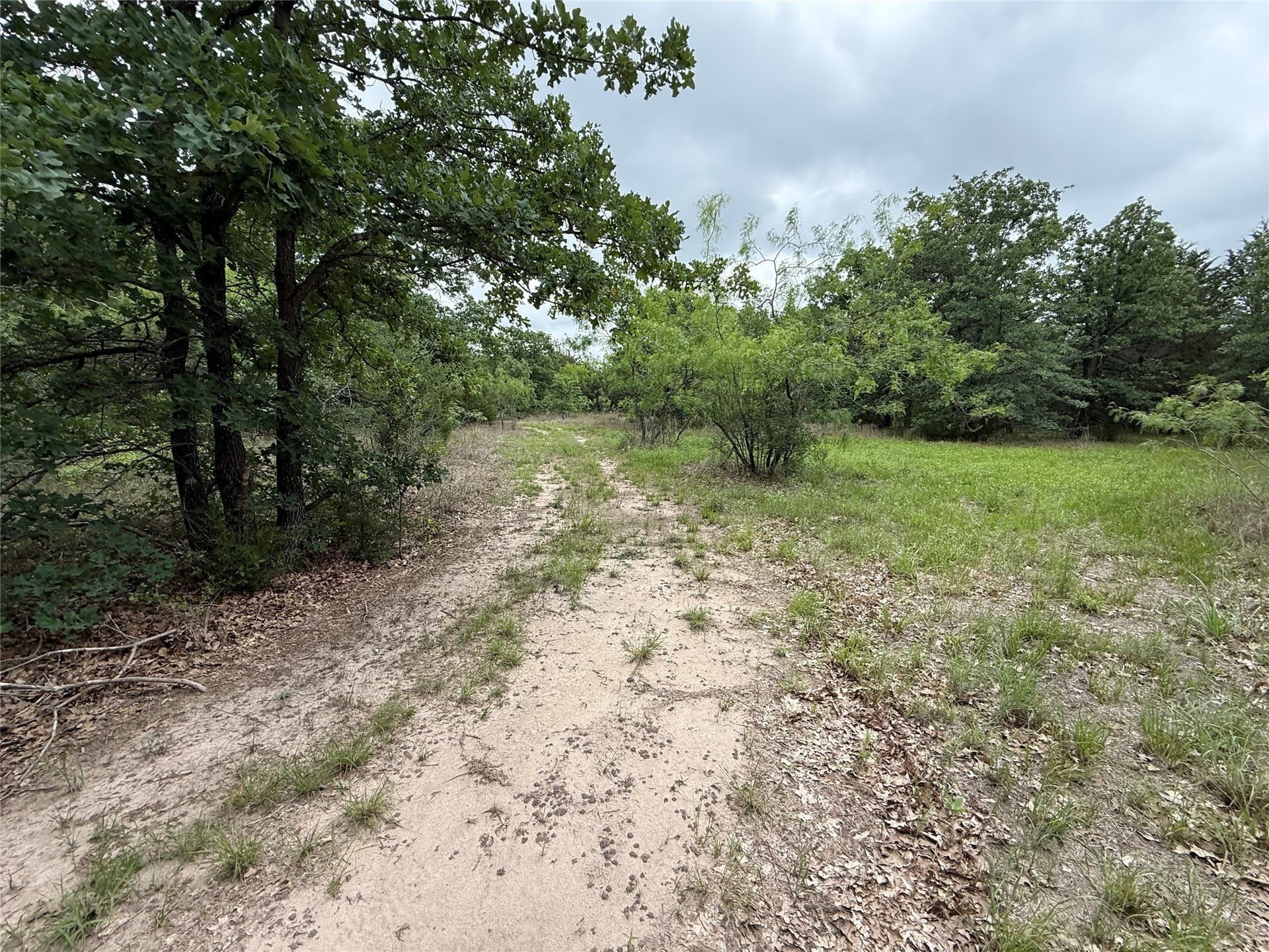 125.43 acres in Navarro County - photo 15