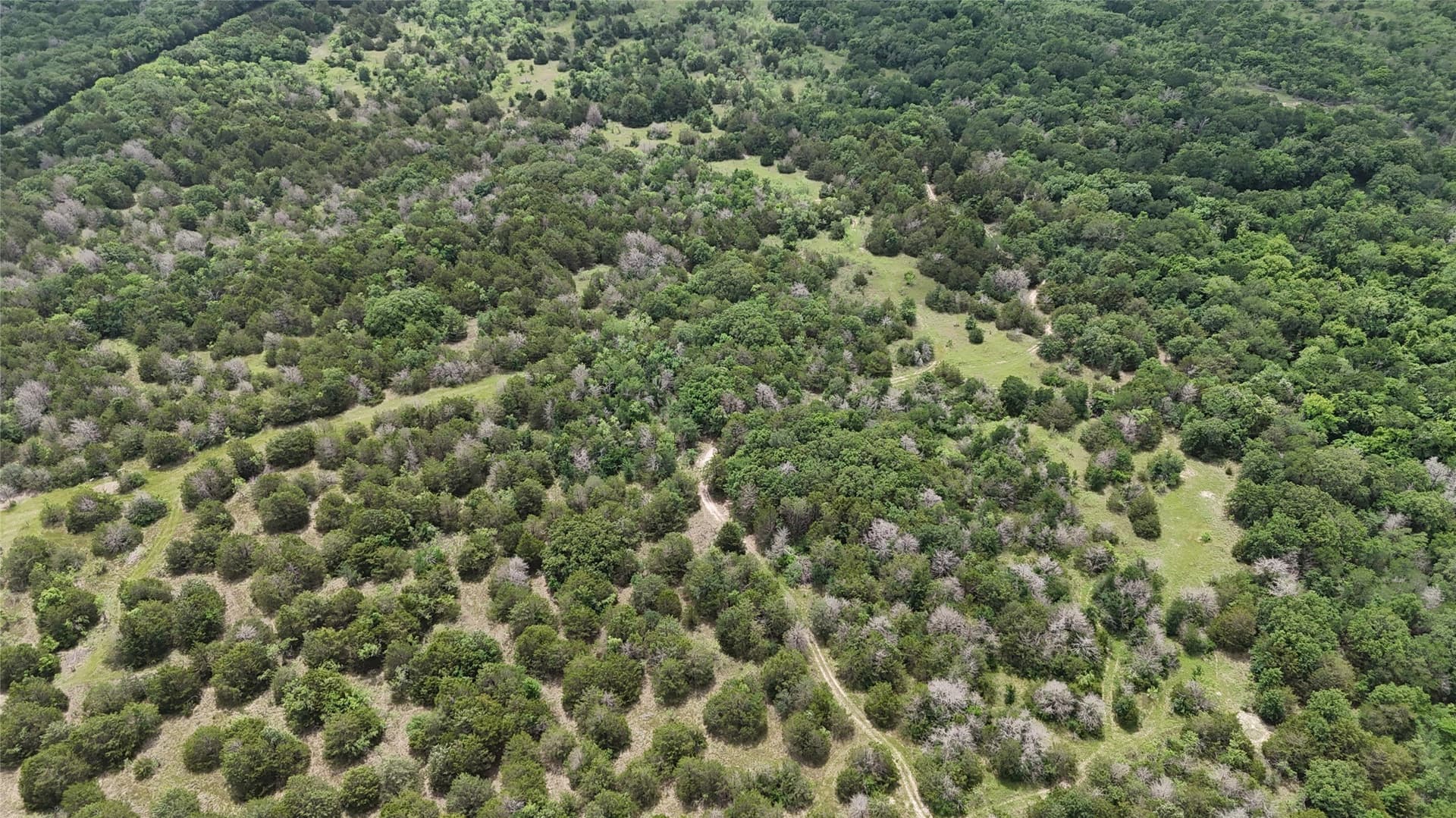 125.43 acres in Navarro County - photo 36