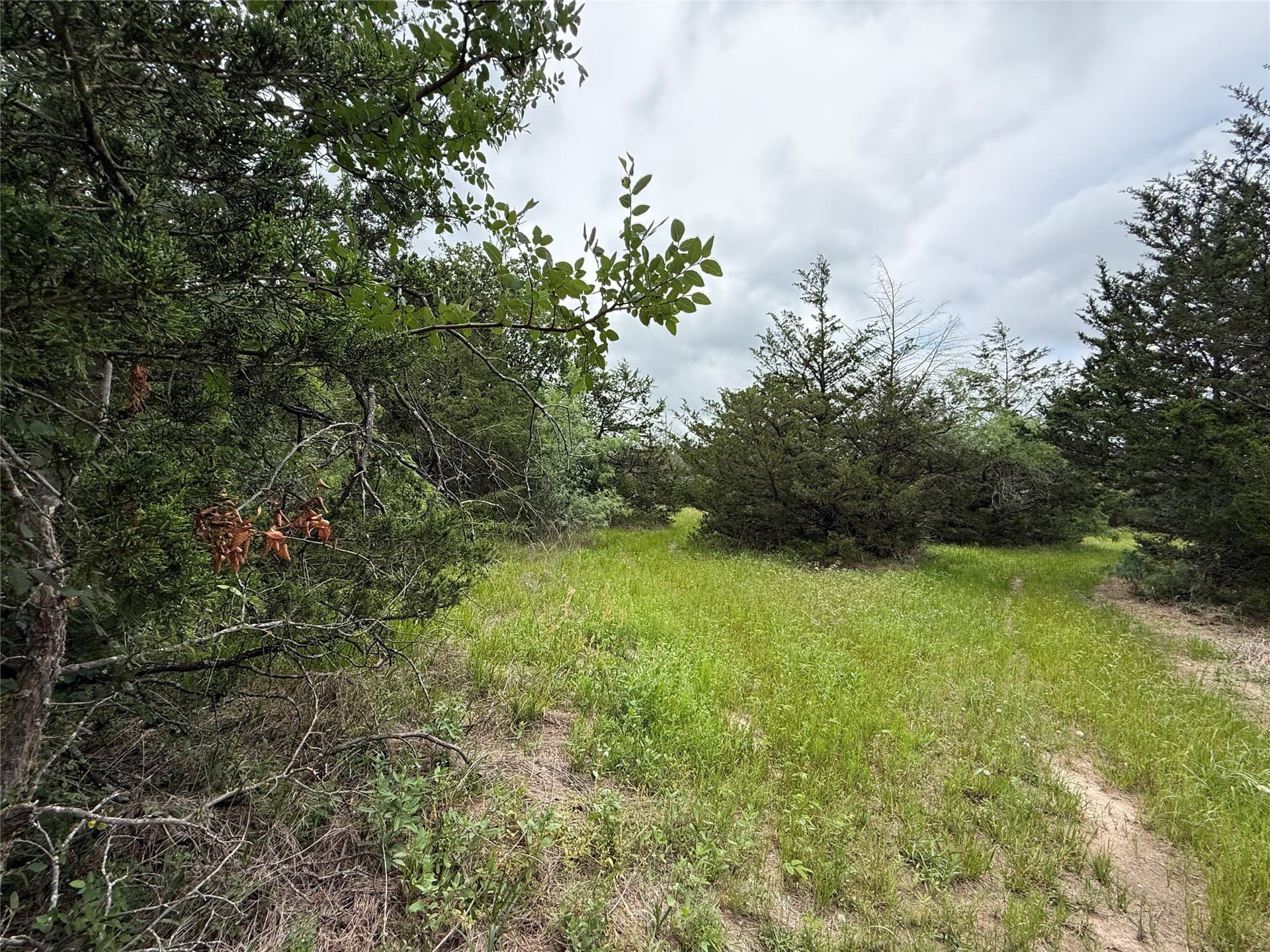 125.43 acres in Navarro County - photo 34