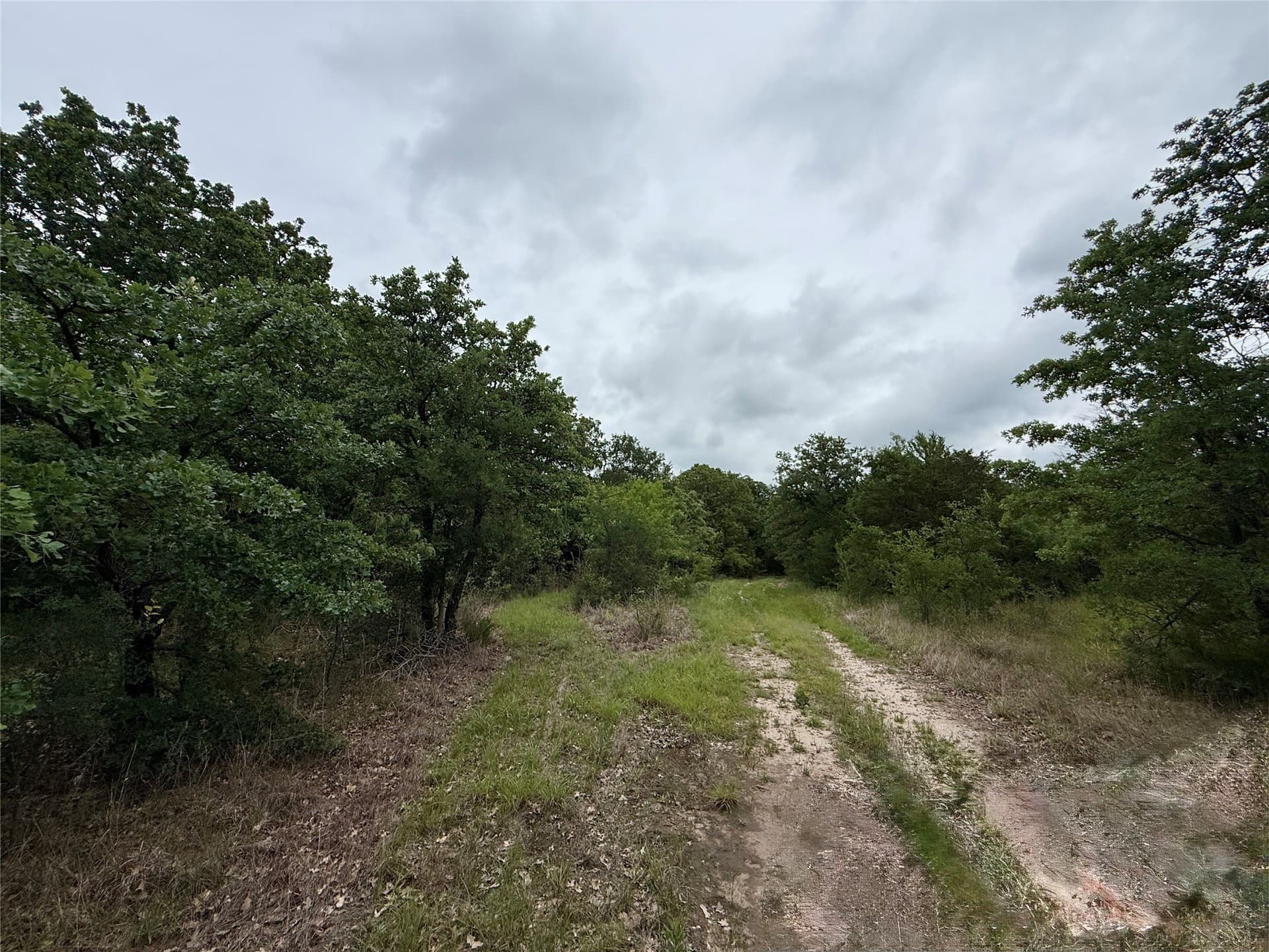 125.43 acres in Navarro County - photo 19