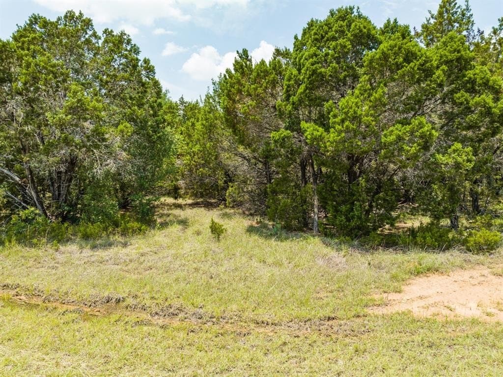 0.88 acres in Hill County gallery image 4