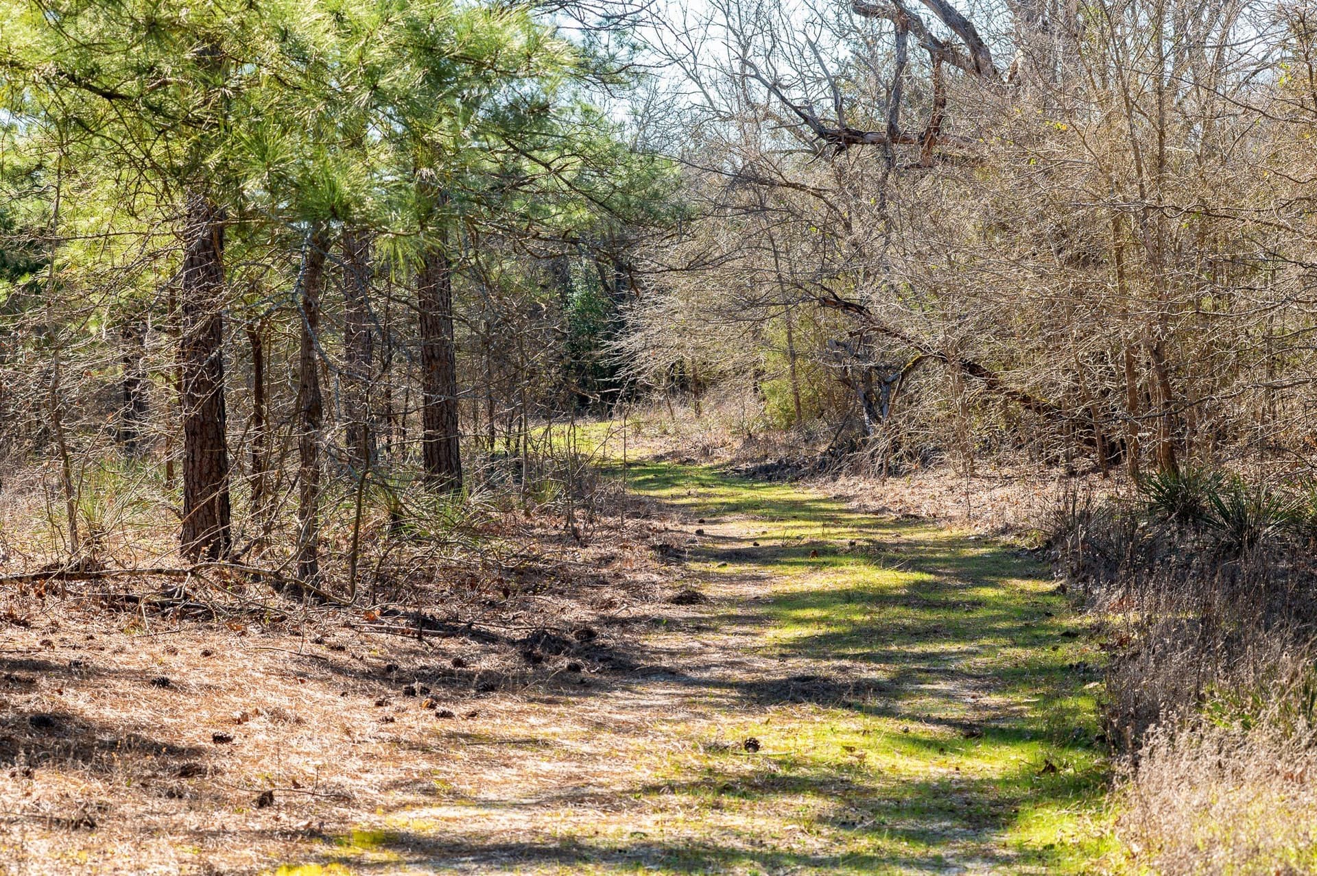 699.2 acres in Van Zandt County - photo 9