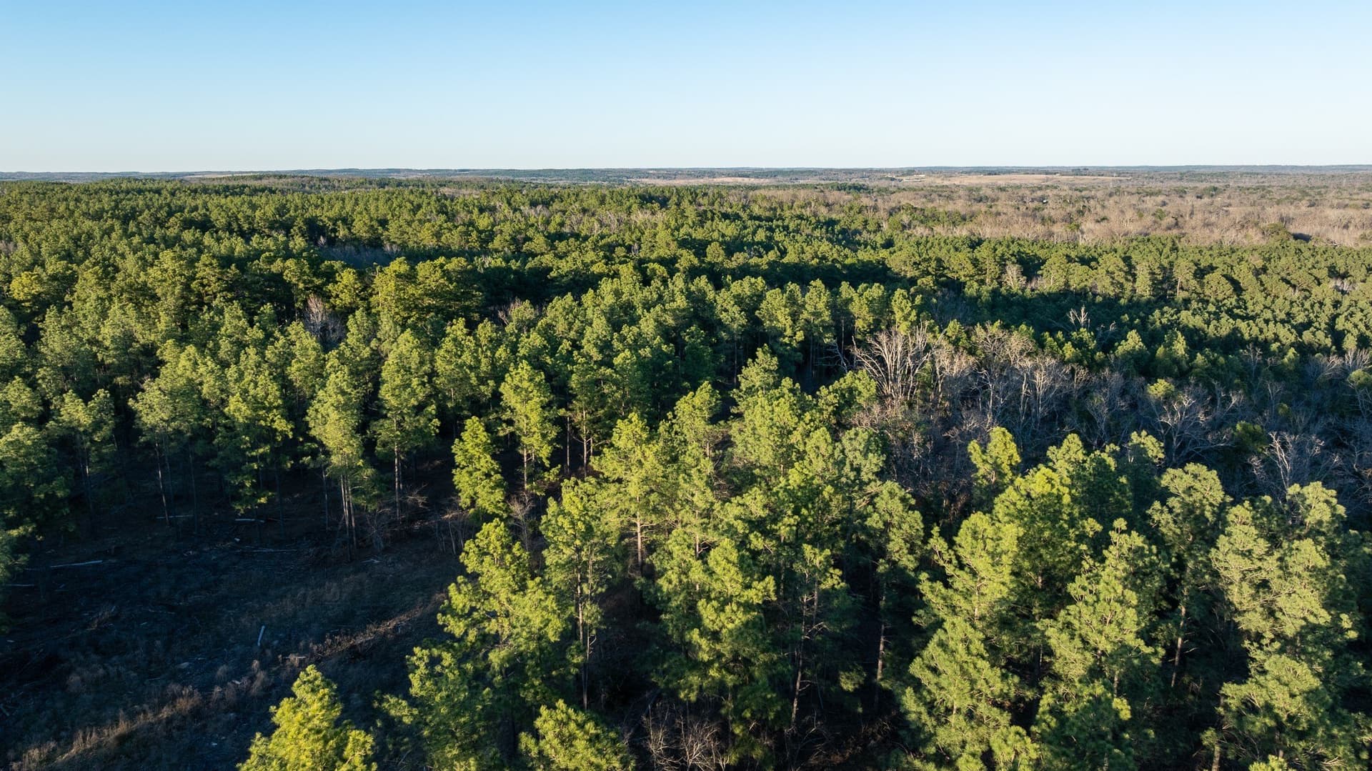 699.2 acres in Van Zandt County - photo 32