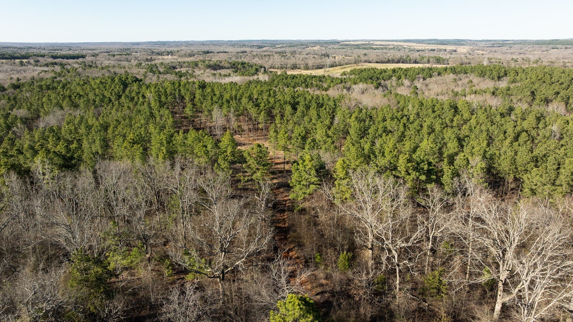 699.2 acres in Van Zandt County - photo 25