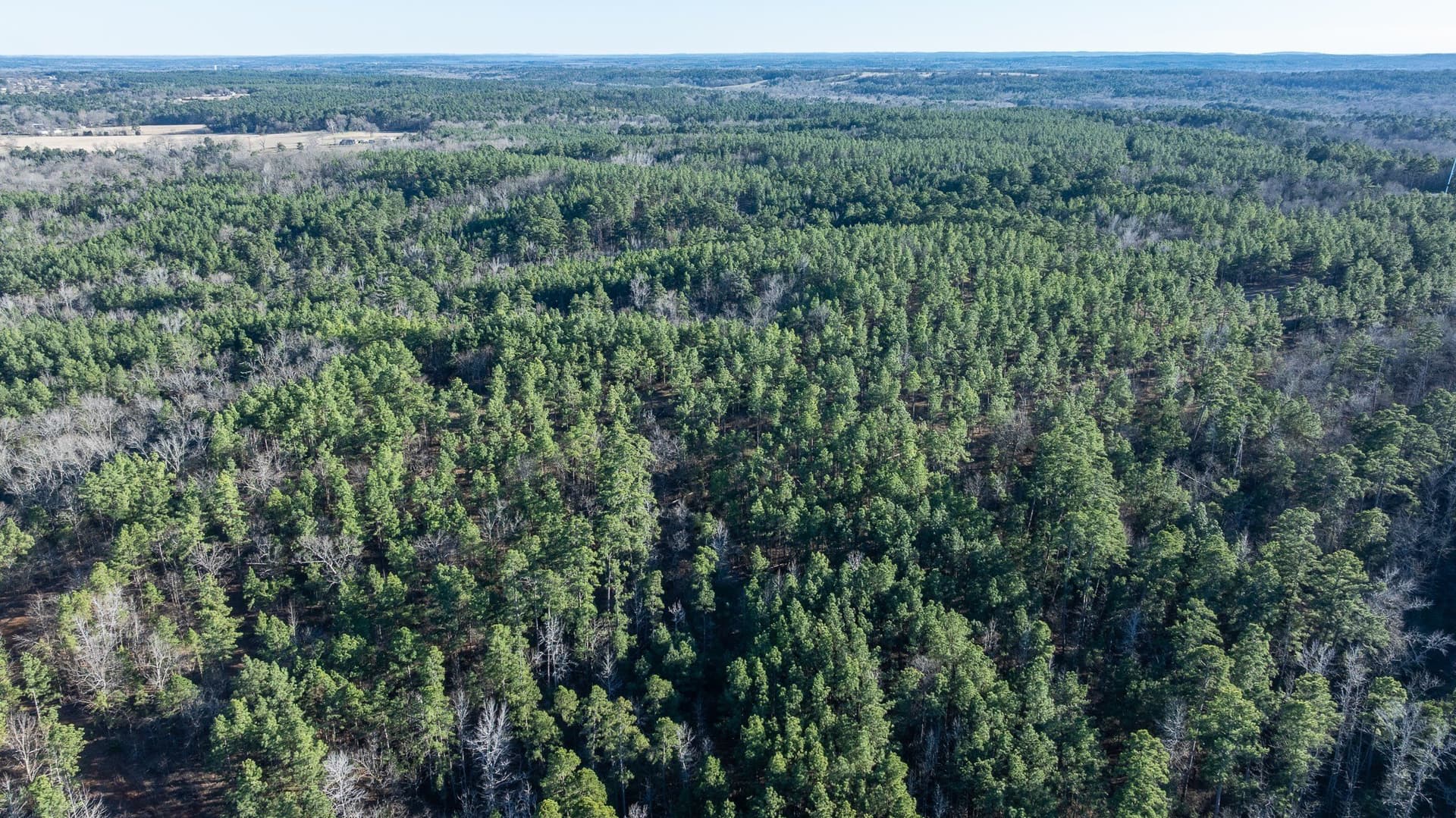 699.2 acres in Van Zandt County - photo 29