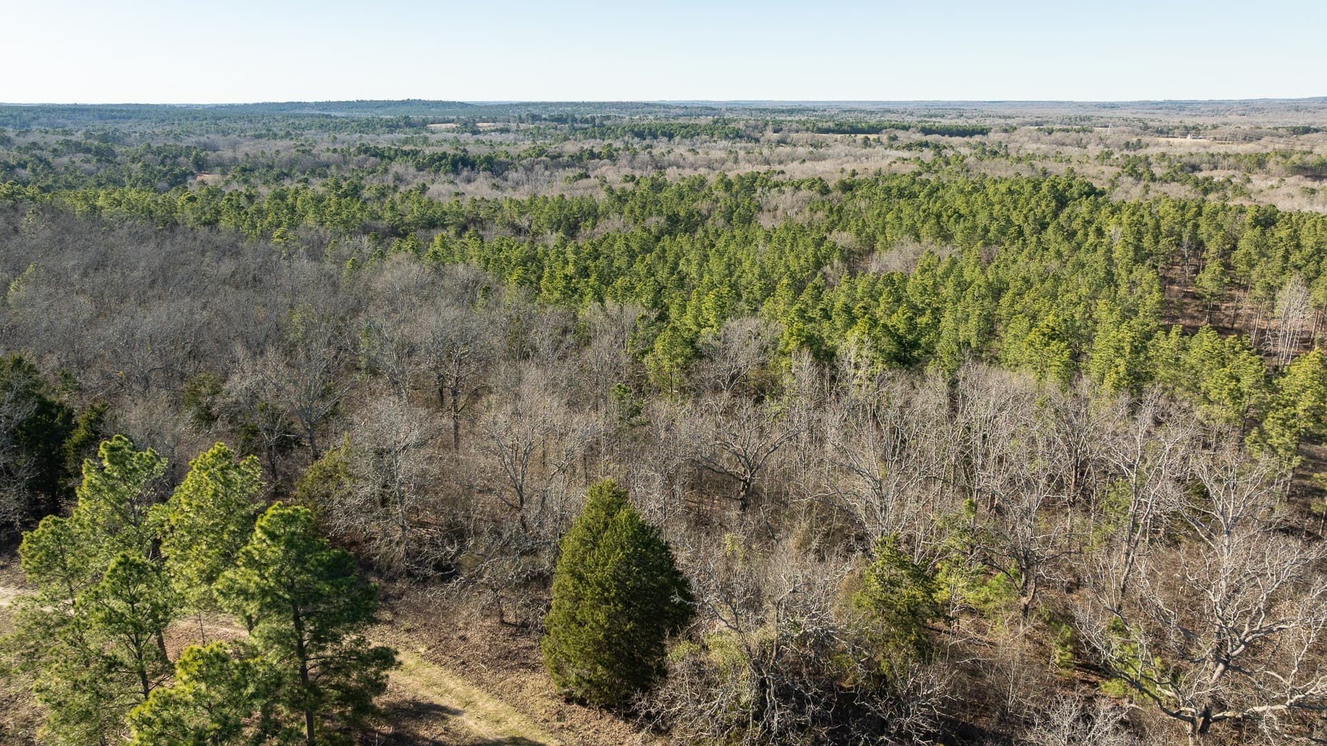 699.2 acres in Van Zandt County - photo 26