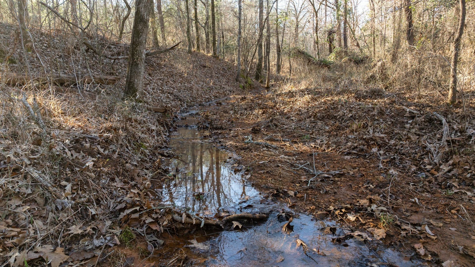 699.2 acres in Van Zandt County - photo 24