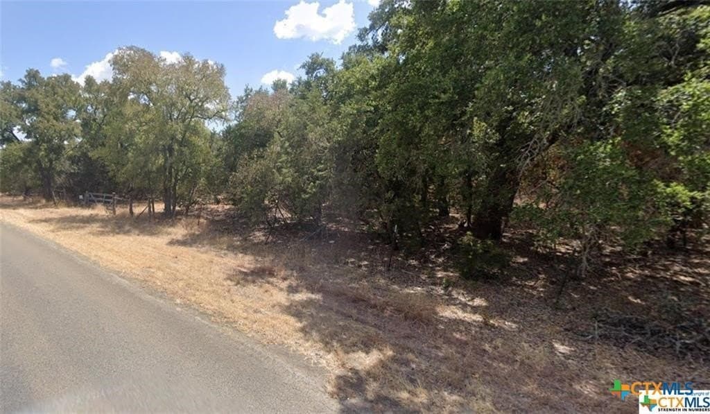5.19 acres in Bell County - photo 4