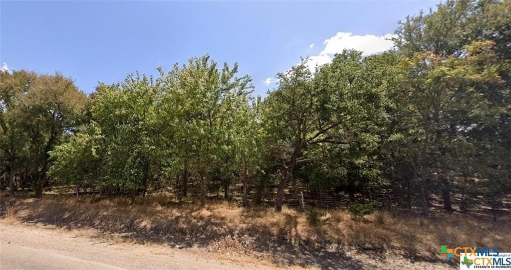 5.19 acres in Bell County - photo 3