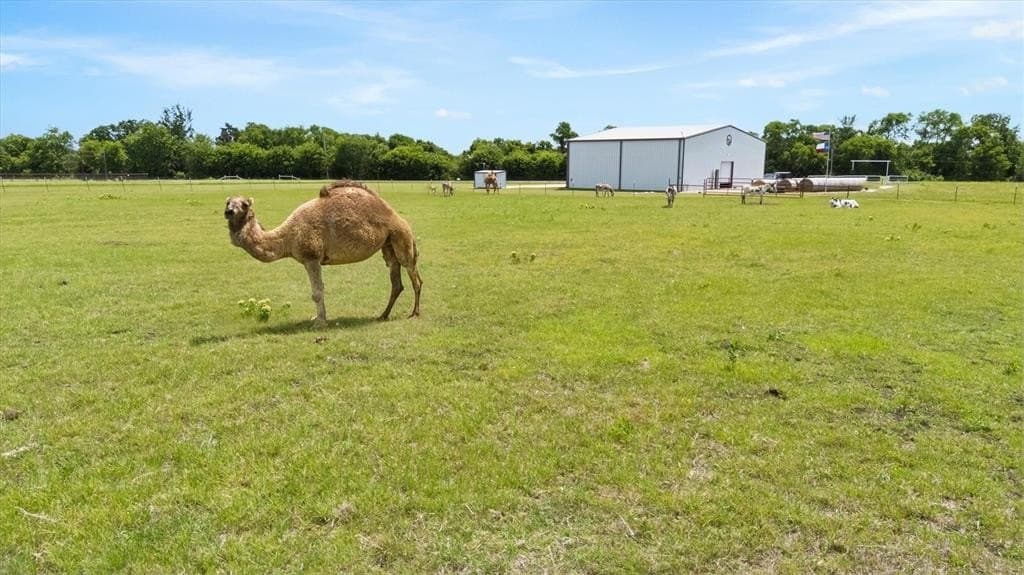 27.36 acres in Collin County gallery image 3